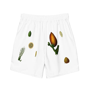 Areca Catechu palm swim trunks