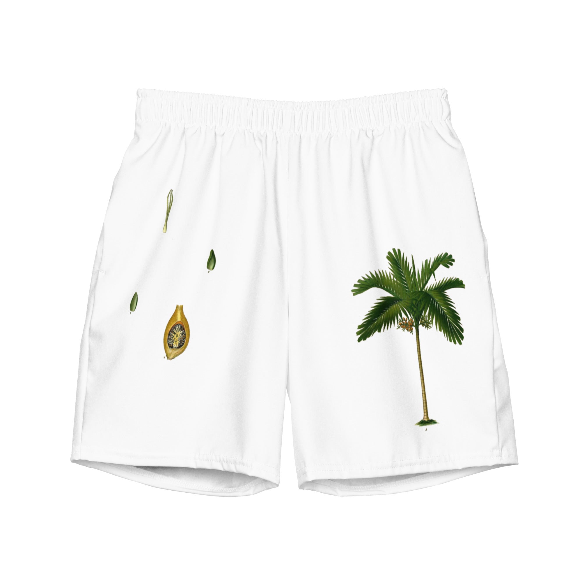 Areca Catechu palm swim trunks