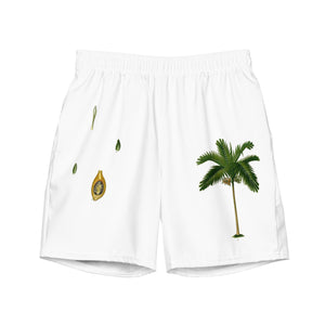 Areca Catechu palm swim trunks